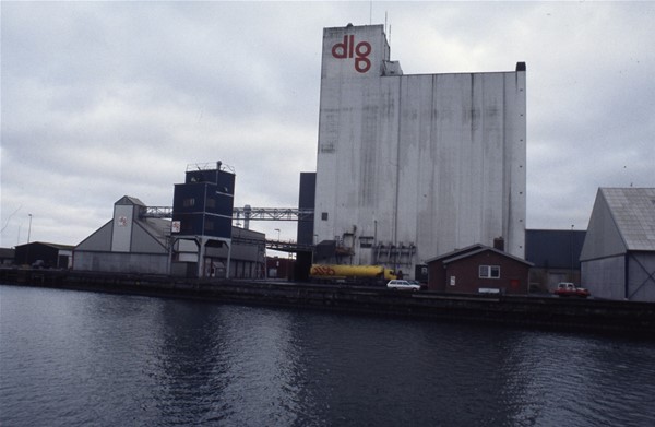 Sydhavnen Dansk Landbrugs Grovvareselskab (DLG) bygninger set fra nordkajen 
