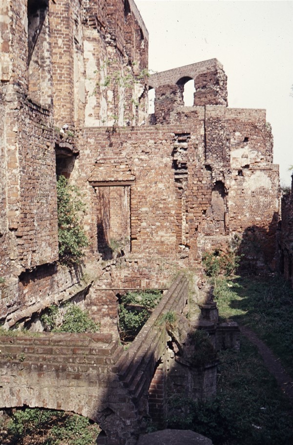 Kælderen i ruinen af sydfløjen ryddet for buske