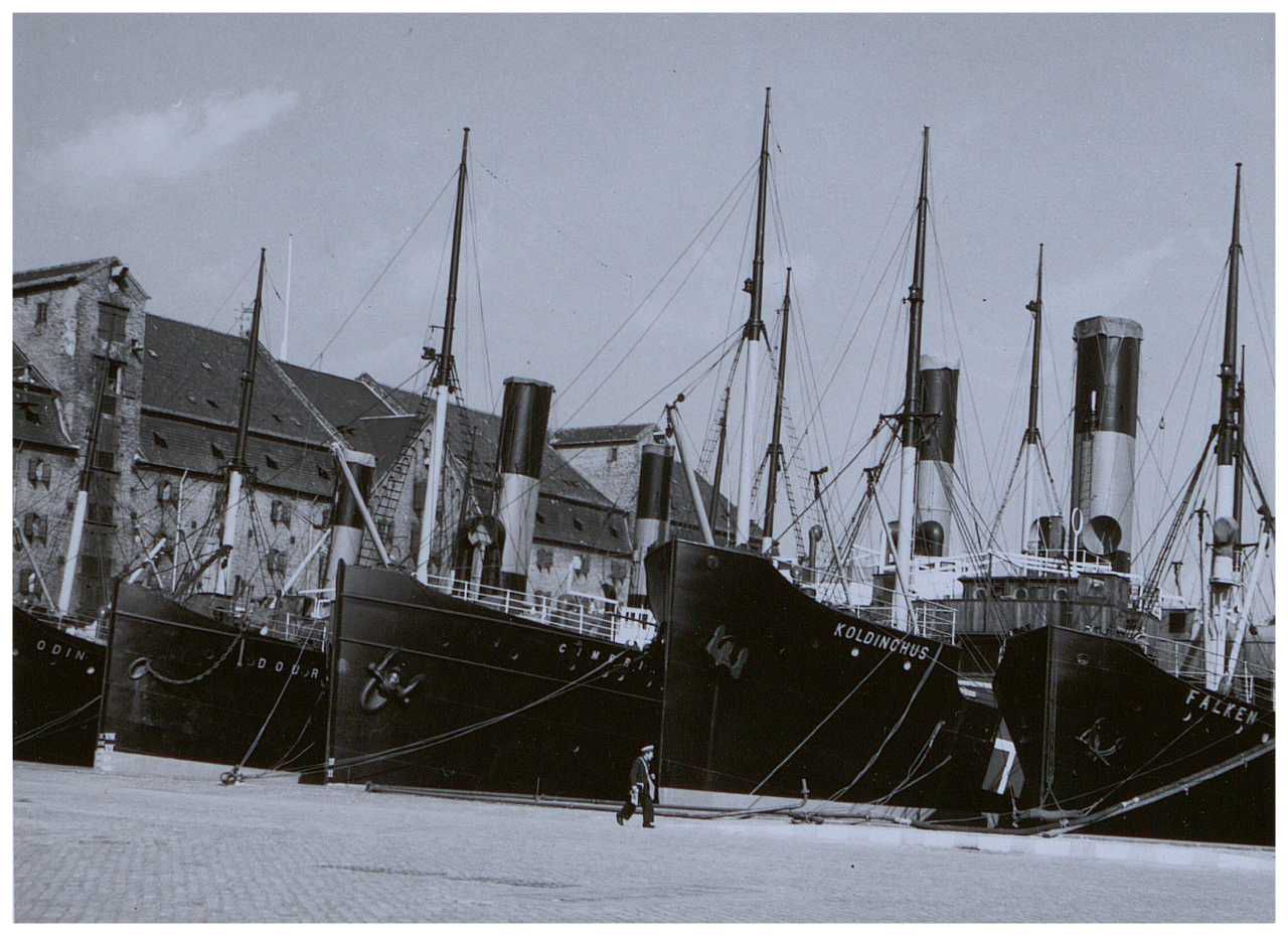 Jens Christian Høegs fotoalbum - Samlinger.dk