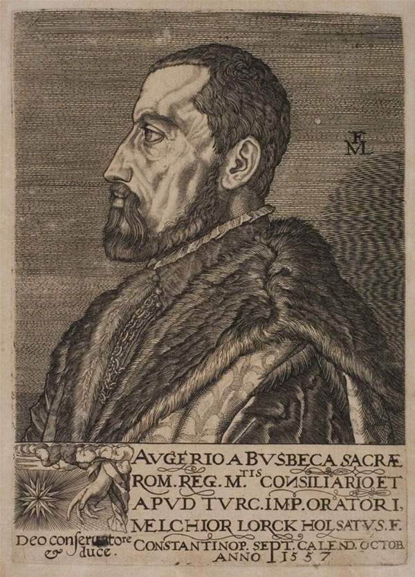 Portræt af Ogier Ghiselin de Busbecq, kejserlig gesandt.