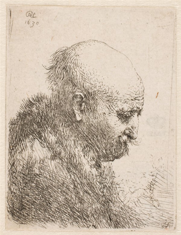 Skaldet mand i profil (Rembrandts fader?)